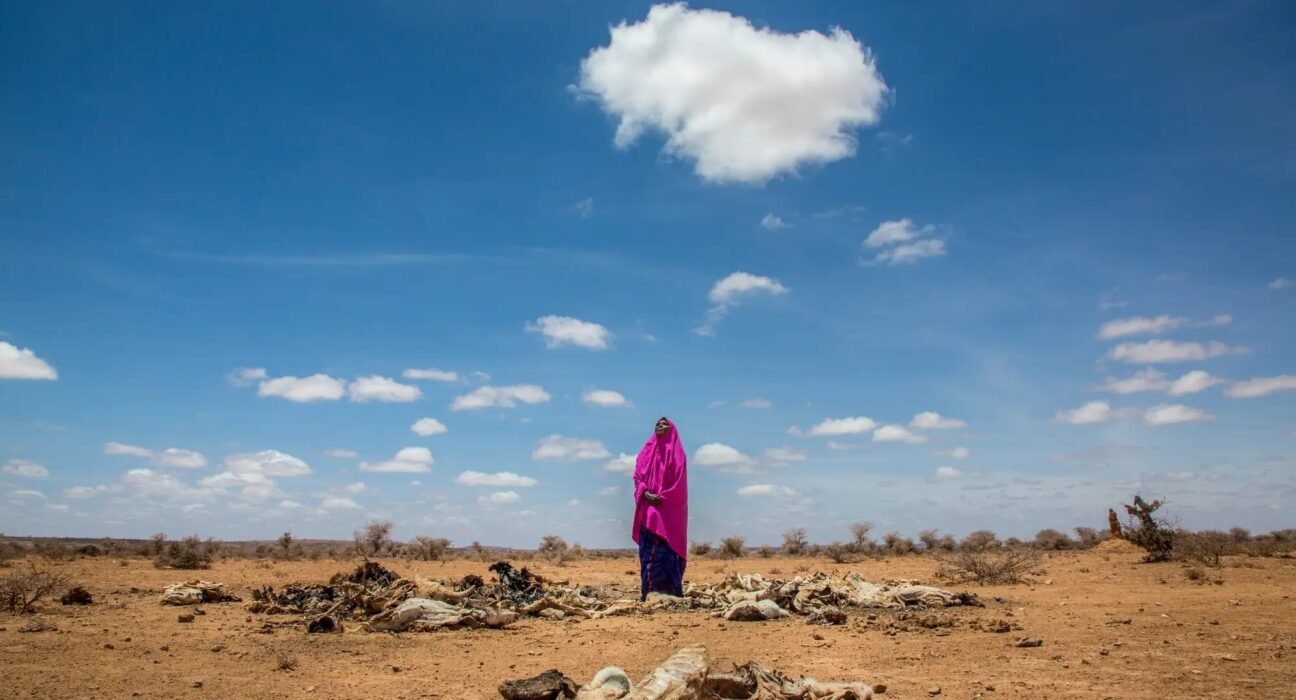 Addressing Environmental Challenges in Somalia – The Puntite